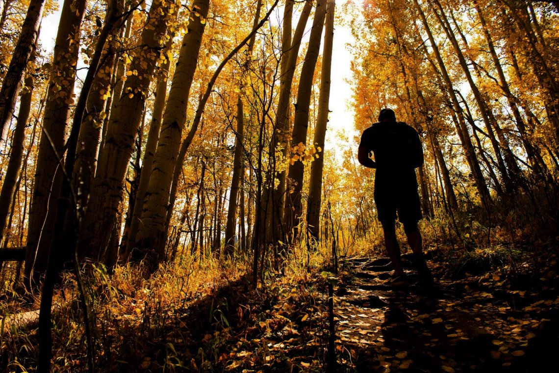 Man walking down in the woods