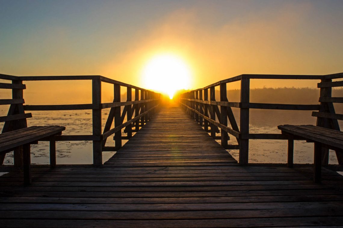 Image illustrating vision